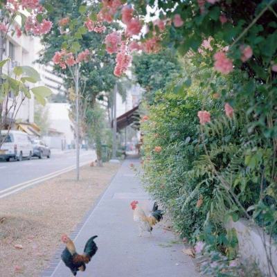 yabo官网网页版截图