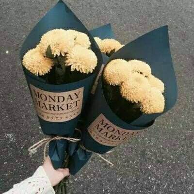 新宝十大登录平台