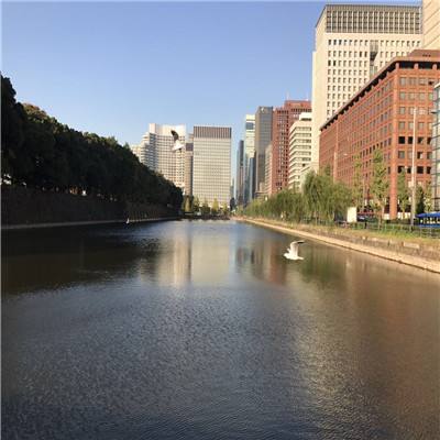 kaiyun下载-登录入口