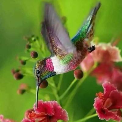 开元ky888官网截图