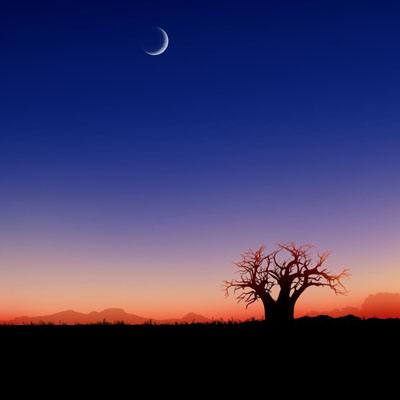 开元ky888网址进入2024入口