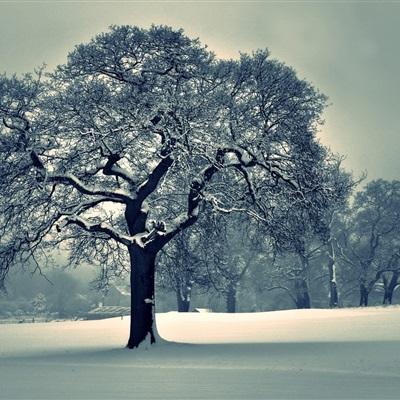 乐鱼APP官方登录入口leyu