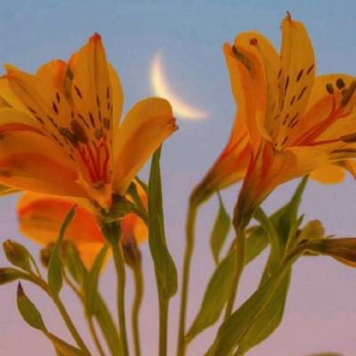 二人麻将下载手机版