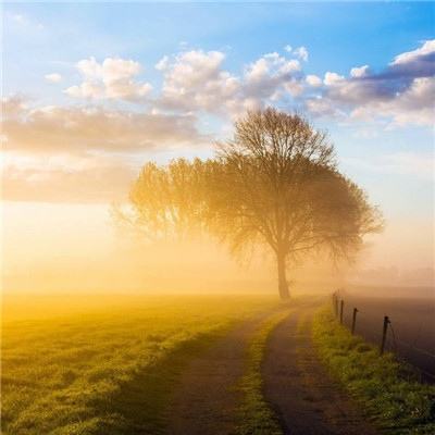 正规AG捕鱼王平台